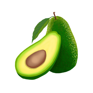 蔬菜水果系列牛油果