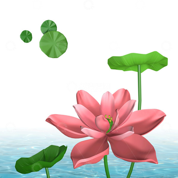 3D荷花荷叶夏季节气元素