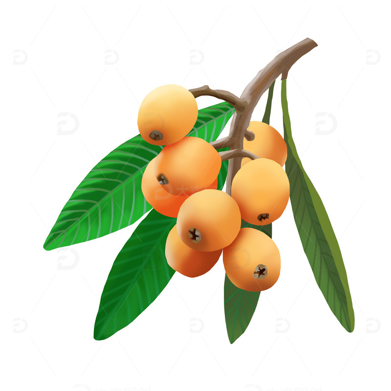 源文件下载【趣麦麦图】夏日水果枝头枇杷果实