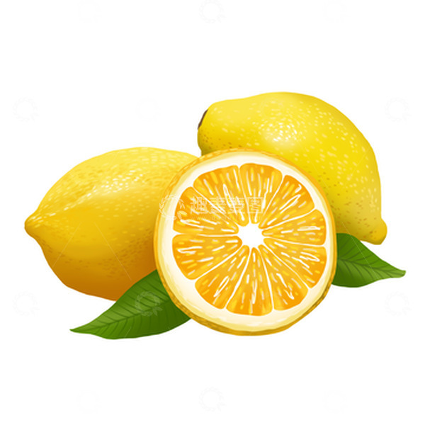 源文件下载【趣麦麦图】-手绘写实水果柠檬切片柠檬