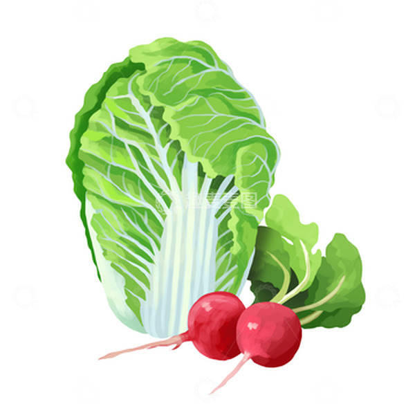 源文件下载【趣麦麦图】蔬菜水果大白菜樱桃小萝卜