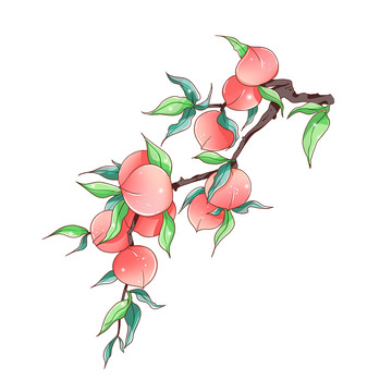 水果桃子桃树枝元素插画