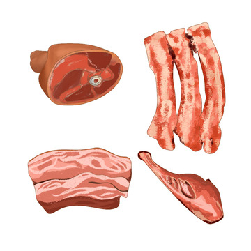 手绘猪肉 肘子 排骨
