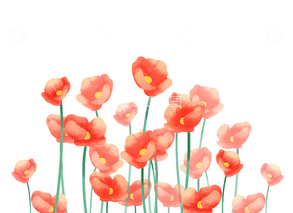 源文件下载【趣麦麦图】简约虞美人植物花卉