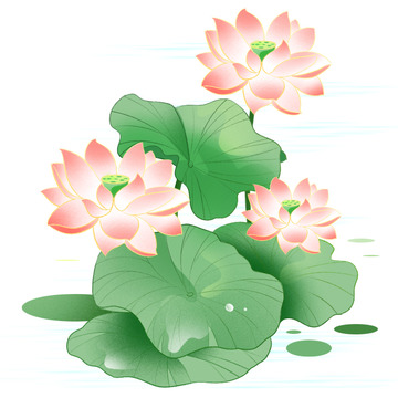 中国风工笔水墨淡雅荷花荷塘中式