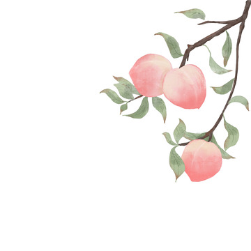 工笔水墨风桃子