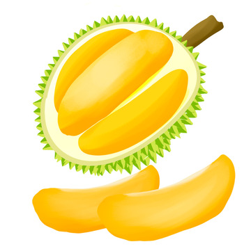 新鲜泰国榴莲榴莲肉元素