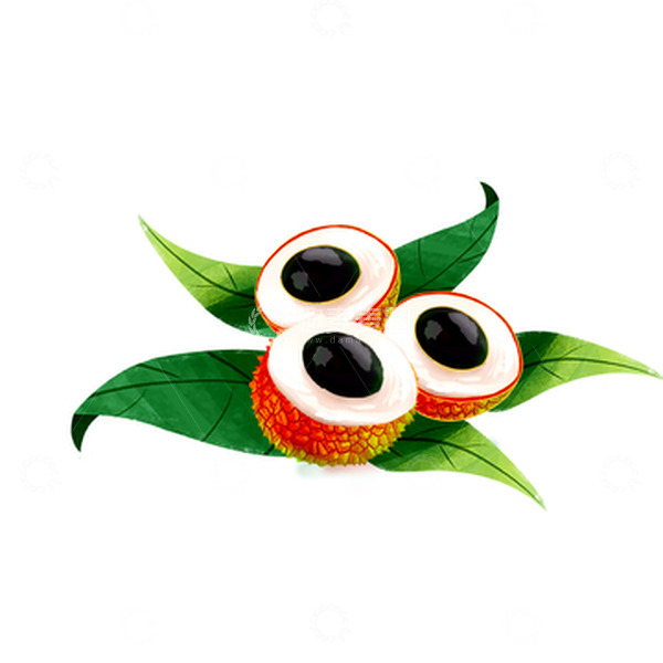 源文件下载【趣麦麦图】荔枝水果插画树叶元素