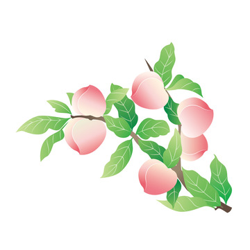 水果水蜜桃手绘卡通图
