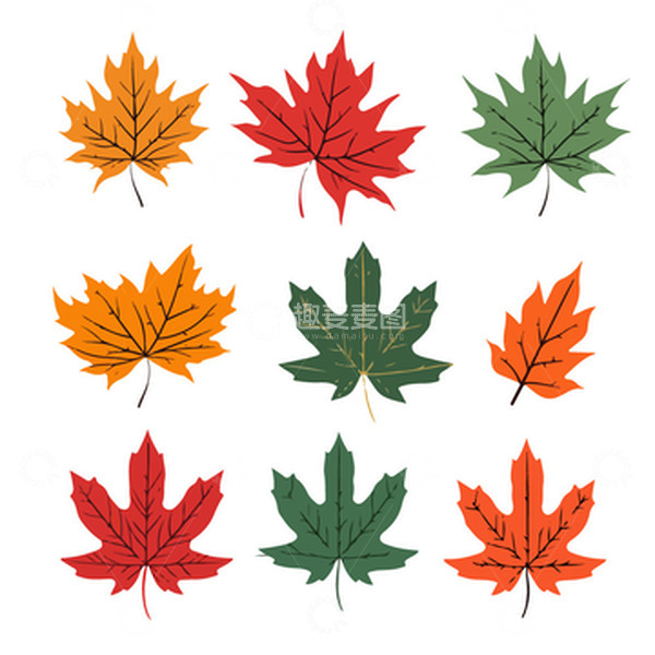 源文件下载【趣麦麦图】立秋秋天枫叶扁平插画元素