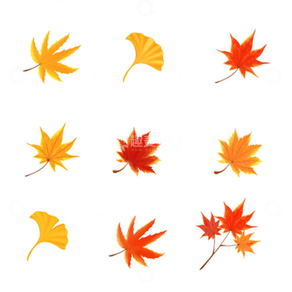 源文件下载【趣麦麦图】立秋叶子银杏枫叶元素