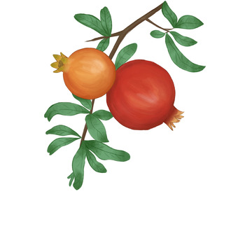 新鲜水果石榴果实