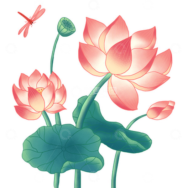源文件下载【趣麦麦图】大暑国风荷花设计元素