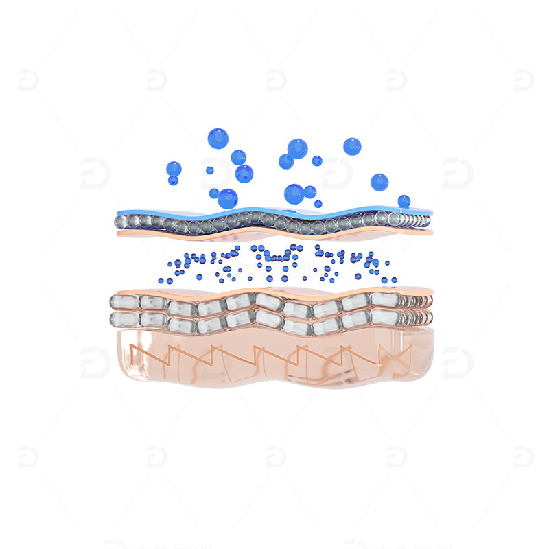 源文件下载【趣麦麦图】3D立体肌肤皮肤结构水分子