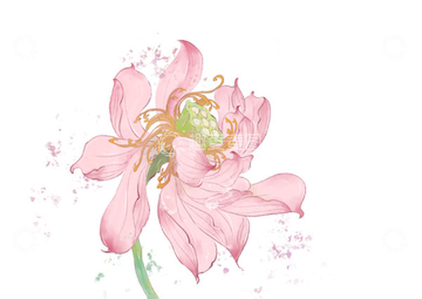 源文件下载【趣麦麦图】夏季荷花手绘植物元素莲花
