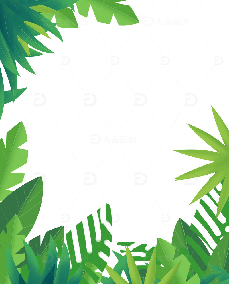 夏季热带森林海边草丛针叶林海报边框装饰