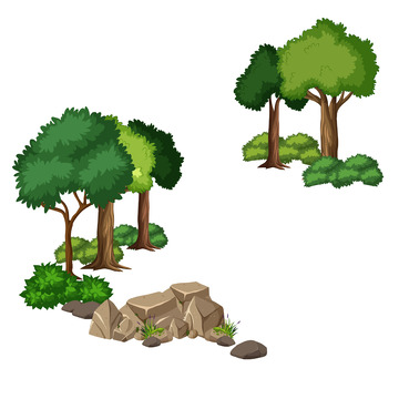 春天 夏天 树木 草丛 石头 植物