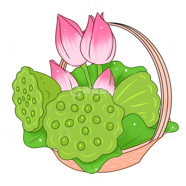源文件下载【趣麦麦图】处暑莲蓬荷花荷叶收获