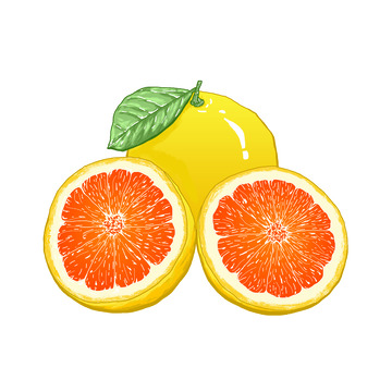 橙子切开的黄色新鲜的美味的血橙水果手绘