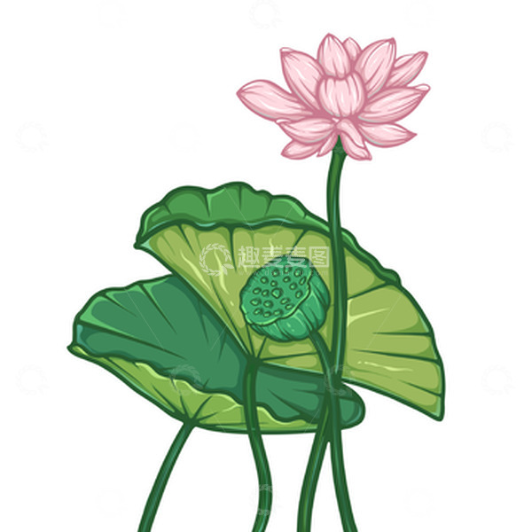 源文件下载【趣麦麦图】线稿国潮风处暑荷花荷叶莲蓬插画