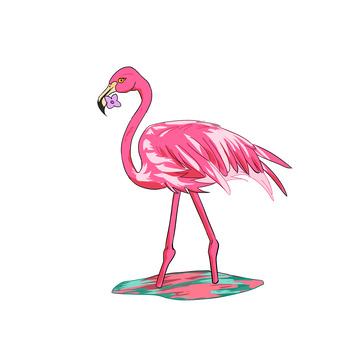 可爱火烈鸟Q版动物动植物元素小动物