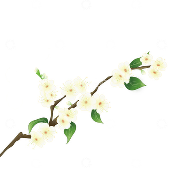 源文件下载【趣麦麦图】青梅花朵手绘插画