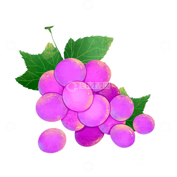 源文件下载【趣麦麦图】手绘水果紫葡萄晶莹剔透插画元素