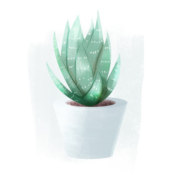 简约植物盆栽插画