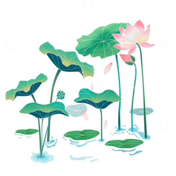 源文件下载【趣麦麦图】处暑荷花池塘