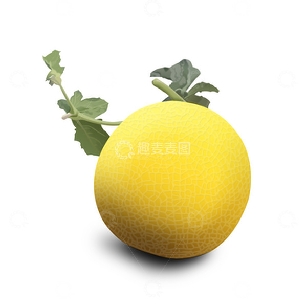 源文件下载【趣麦麦图】手绘甜瓜水果哈密瓜设计