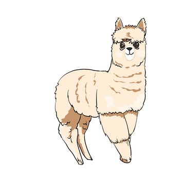 可爱羊驼可爱草泥马