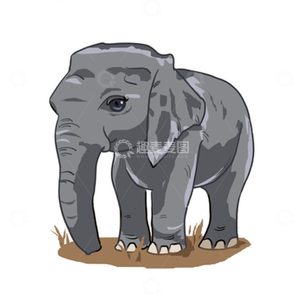 源文件下载【趣麦麦图】可爱小象保护野生动物手抄报素材
