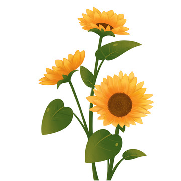 向日葵花束配色