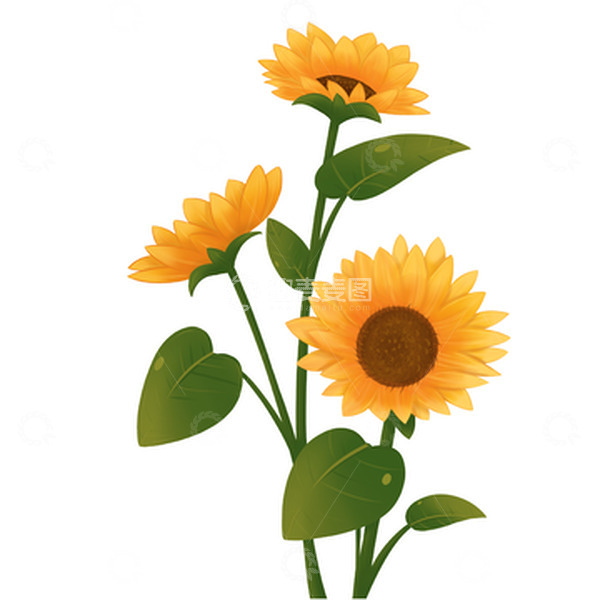 源文件下载【趣麦麦图】向日葵花束配色
