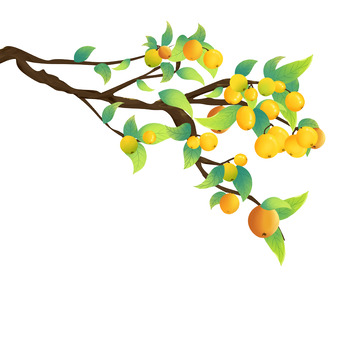 国潮手绘枇杷绿叶装饰