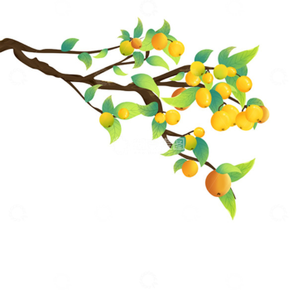源文件下载【趣麦麦图】国潮手绘枇杷绿叶装饰