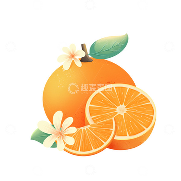 源文件下载【趣麦麦图】手绘夏日橙子插画