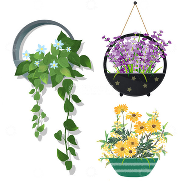 源文件下载【趣麦麦图】黄色小雏菊紫色薰衣草叶子盆栽吊盆组合