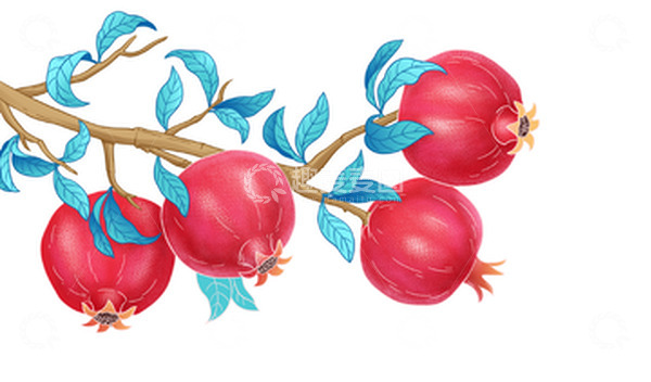 源文件下载【趣麦麦图】手绘石榴插画