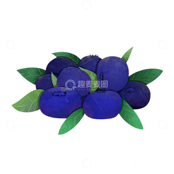 源文件下载【趣麦麦图】手绘蓝莓水果树叶插画元素