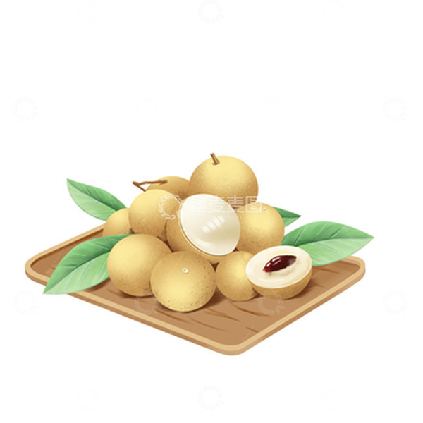 源文件下载【趣麦麦图】白露龙眼手绘图