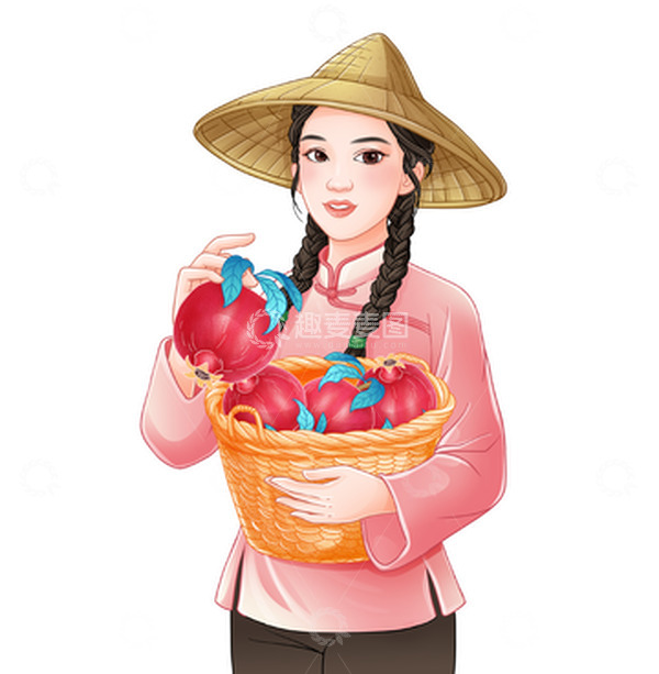 源文件下载【趣麦麦图】红石榴 软籽石榴 手绘