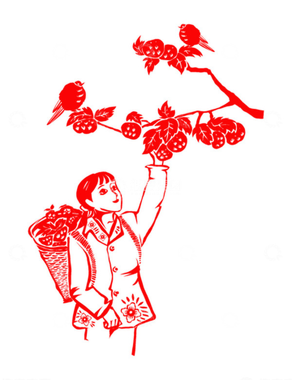 源文件下载【趣麦麦图】秋收摘柿子柿子树小鸟秋分节气剪纸手绘元素