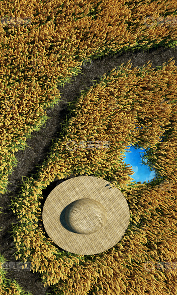 源文件下载【趣麦麦图】C4D秋分麦穗海报