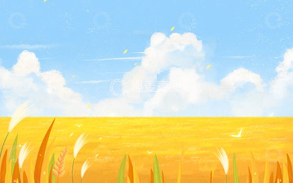 源文件下载【趣麦麦图】秋天秋分稻田蓝天背景
