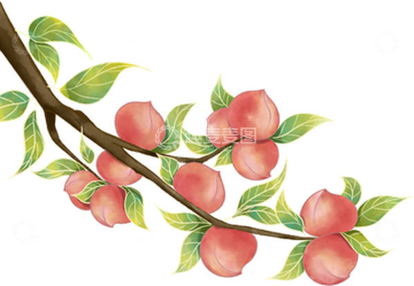 源文件下载【趣麦麦图】夏天水果水蜜桃插画