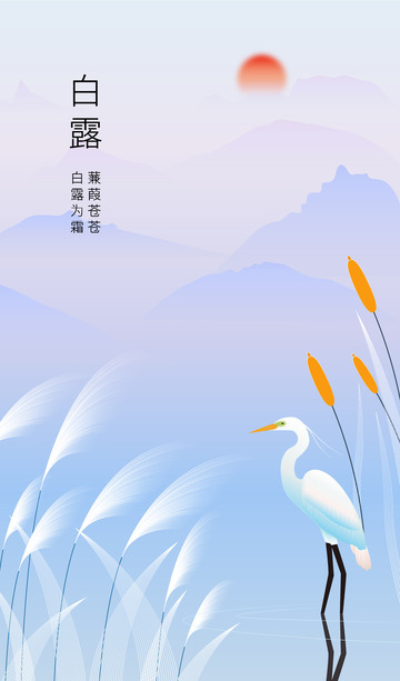 24节气白露海报芦苇白鹭