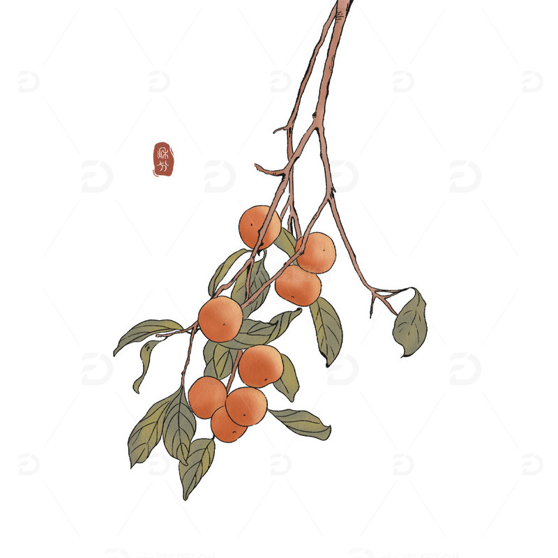 源文件下载【趣麦麦图】秋分柿子国风元素