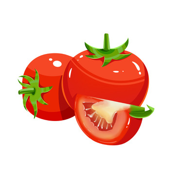 手绘西红柿番茄插画