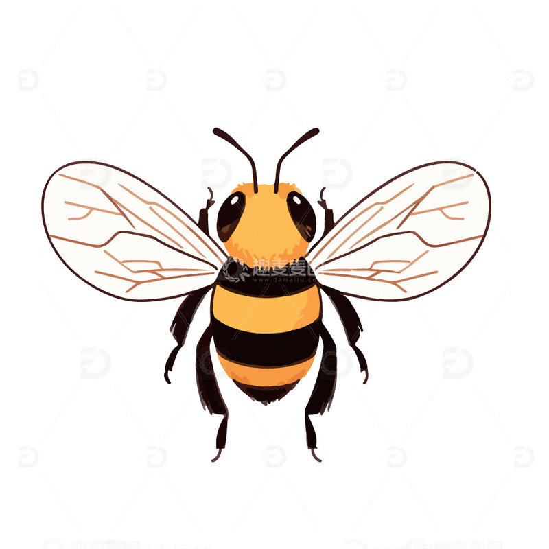 蜜蜂昆虫插画